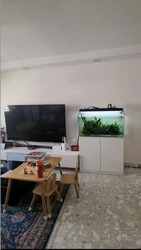 Blk 228 Simei Street 4 (Tampines), HDB 5 Rooms #635089651